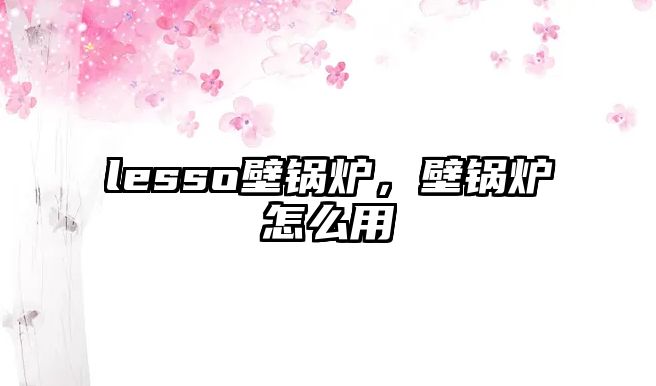 lesso壁鍋爐，壁鍋爐怎么用