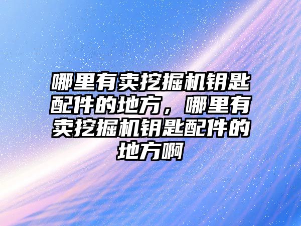 哪里有賣挖掘機鑰匙配件的地方，哪里有賣挖掘機鑰匙配件的地方啊