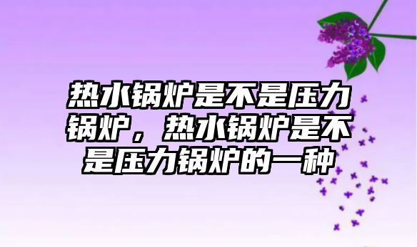 熱水鍋爐是不是壓力鍋爐，熱水鍋爐是不是壓力鍋爐的一種