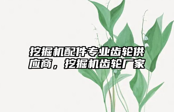 挖掘機配件專業(yè)齒輪供應(yīng)商，挖掘機齒輪廠家