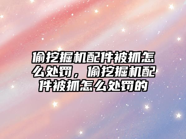 偷挖掘機配件被抓怎么處罰，偷挖掘機配件被抓怎么處罰的