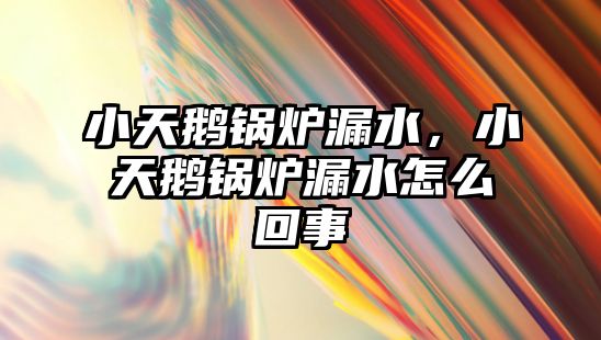 小天鵝鍋爐漏水，小天鵝鍋爐漏水怎么回事