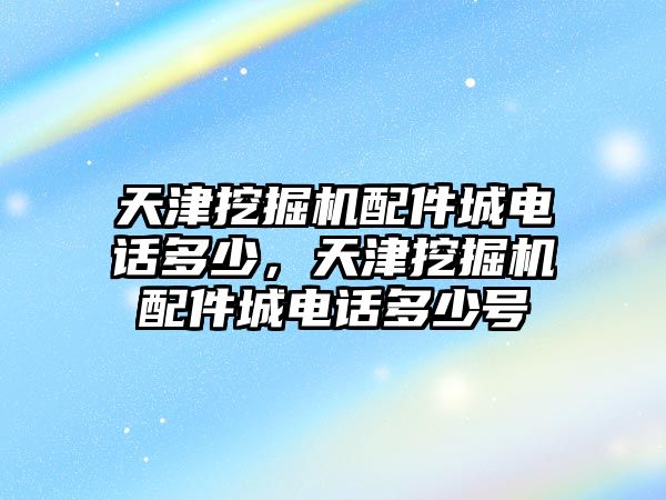 天津挖掘機配件城電話多少，天津挖掘機配件城電話多少號