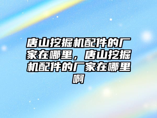 唐山挖掘機配件的廠家在哪里，唐山挖掘機配件的廠家在哪里啊