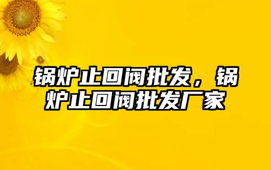 鍋爐止回閥批發(fā)，鍋爐止回閥批發(fā)廠家