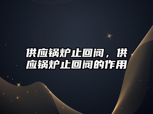 供應(yīng)鍋爐止回閥，供應(yīng)鍋爐止回閥的作用