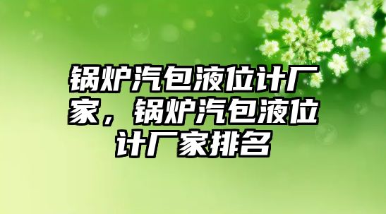 鍋爐汽包液位計廠家，鍋爐汽包液位計廠家排名