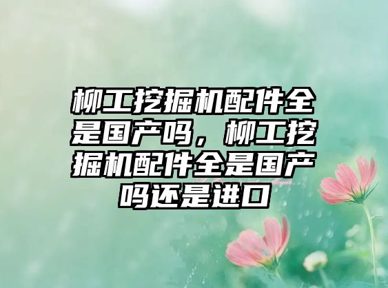 柳工挖掘機配件全是國產(chǎn)嗎，柳工挖掘機配件全是國產(chǎn)嗎還是進(jìn)口