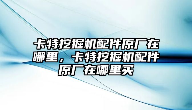 卡特挖掘機(jī)配件原廠在哪里，卡特挖掘機(jī)配件原廠在哪里買