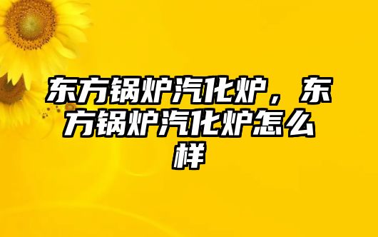 東方鍋爐汽化爐，東方鍋爐汽化爐怎么樣