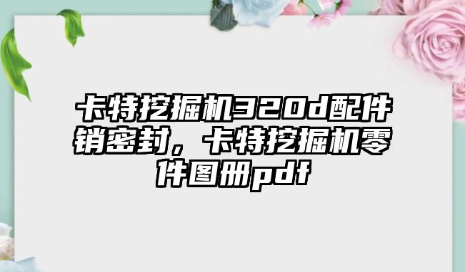 卡特挖掘機(jī)320d配件銷(xiāo)密封，卡特挖掘機(jī)零件圖冊(cè)pdf