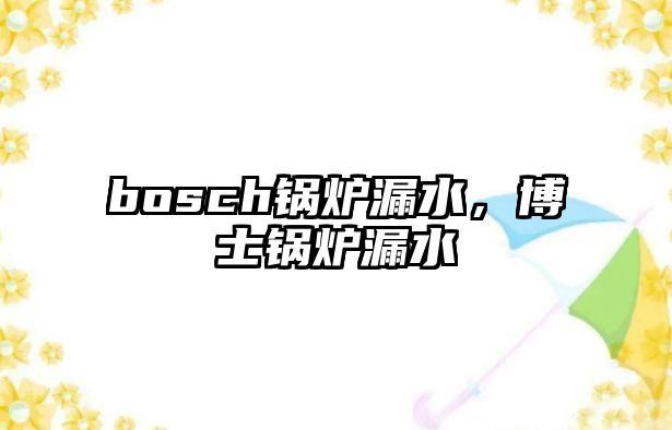 bosch鍋爐漏水，博士鍋爐漏水