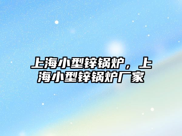 上海小型鋅鍋爐，上海小型鋅鍋爐廠家