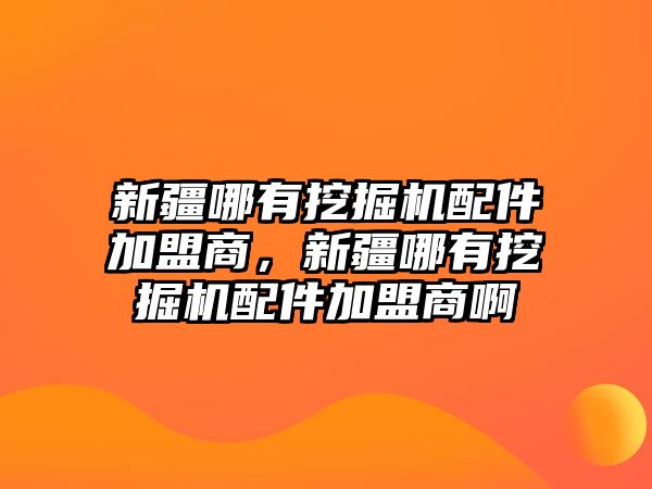 新疆哪有挖掘機配件加盟商，新疆哪有挖掘機配件加盟商啊