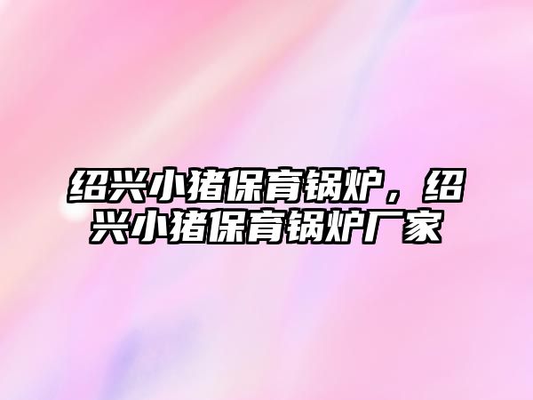 紹興小豬保育鍋爐，紹興小豬保育鍋爐廠家