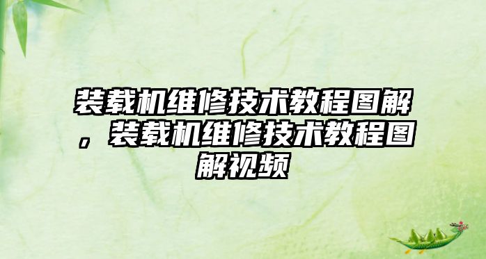 裝載機維修技術教程圖解，裝載機維修技術教程圖解視頻