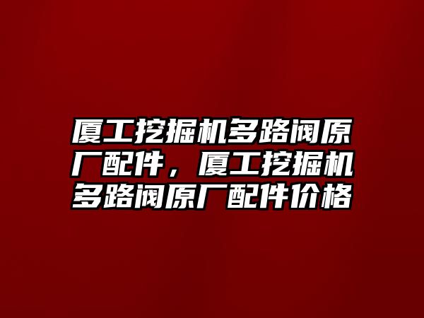 廈工挖掘機多路閥原廠配件，廈工挖掘機多路閥原廠配件價格