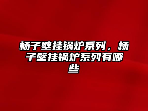 楊子壁掛鍋爐系列，楊子壁掛鍋爐系列有哪些