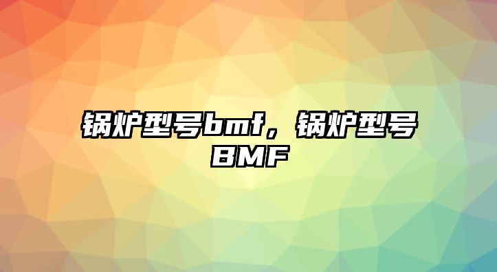 鍋爐型號bmf，鍋爐型號BMF