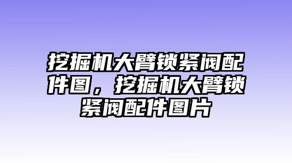 挖掘機(jī)大臂鎖緊閥配件圖，挖掘機(jī)大臂鎖緊閥配件圖片