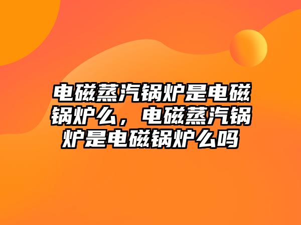 電磁蒸汽鍋爐是電磁鍋爐么，電磁蒸汽鍋爐是電磁鍋爐么嗎