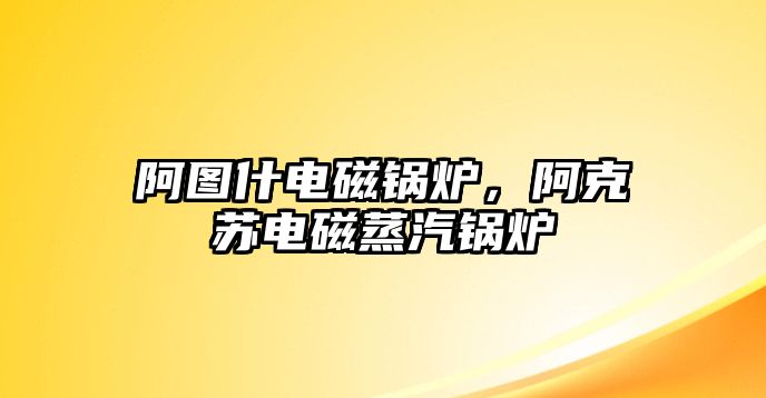 阿圖什電磁鍋爐，阿克蘇電磁蒸汽鍋爐