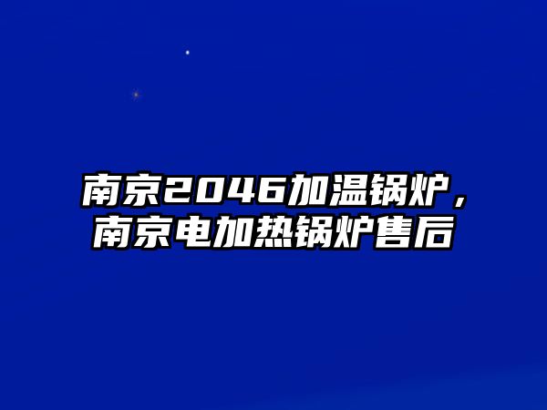 南京2046加溫鍋爐，南京電加熱鍋爐售后