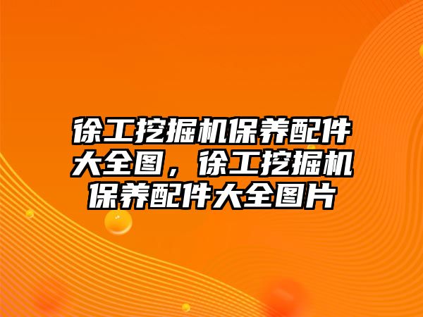 徐工挖掘機保養(yǎng)配件大全圖，徐工挖掘機保養(yǎng)配件大全圖片