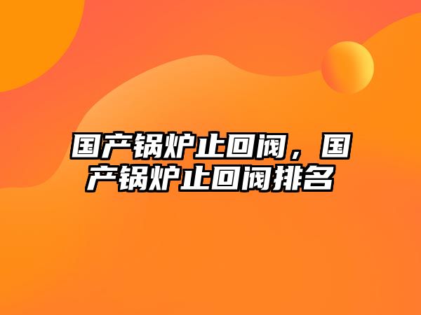 國產(chǎn)鍋爐止回閥，國產(chǎn)鍋爐止回閥排名