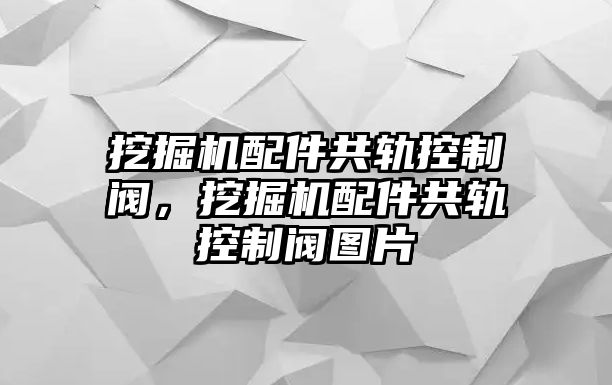 挖掘機(jī)配件共軌控制閥，挖掘機(jī)配件共軌控制閥圖片