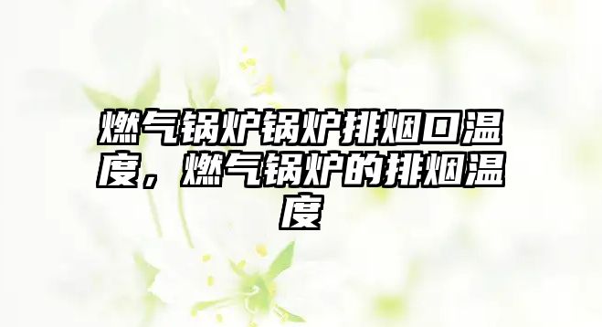 燃?xì)忮仩t鍋爐排煙口溫度，燃?xì)忮仩t的排煙溫度