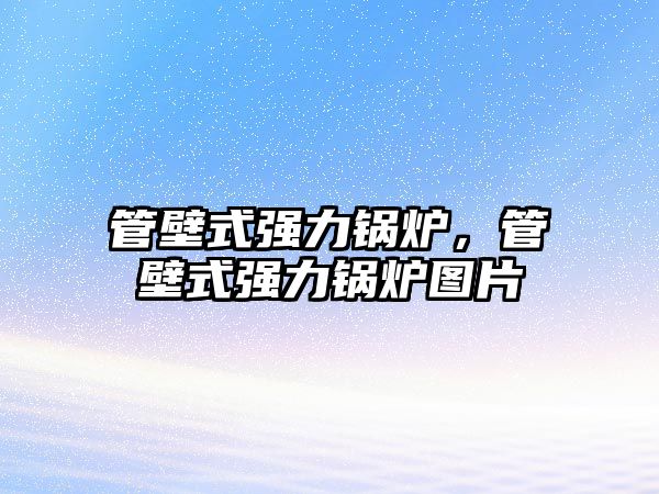 管壁式強(qiáng)力鍋爐，管壁式強(qiáng)力鍋爐圖片