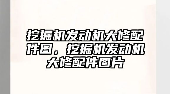 挖掘機(jī)發(fā)動機(jī)大修配件圖，挖掘機(jī)發(fā)動機(jī)大修配件圖片