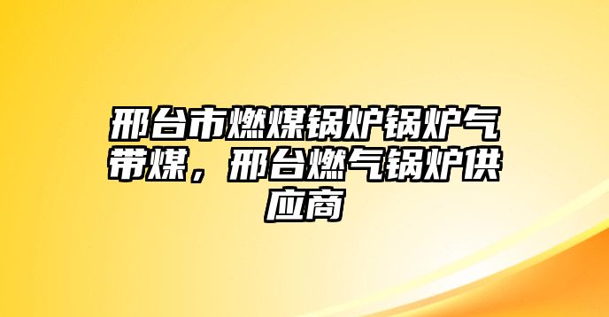 邢臺(tái)市燃煤鍋爐鍋爐氣帶煤，邢臺(tái)燃?xì)忮仩t供應(yīng)商