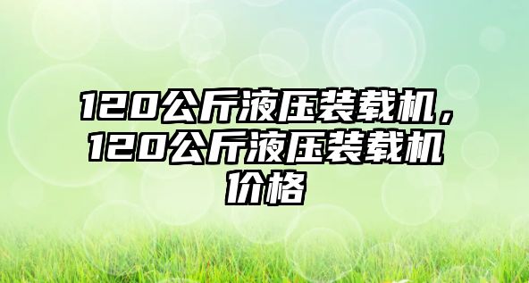 120公斤液壓裝載機(jī)，120公斤液壓裝載機(jī)價(jià)格