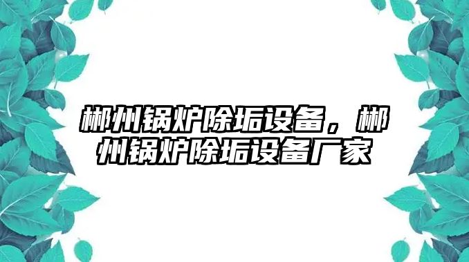 郴州鍋爐除垢設(shè)備，郴州鍋爐除垢設(shè)備廠家