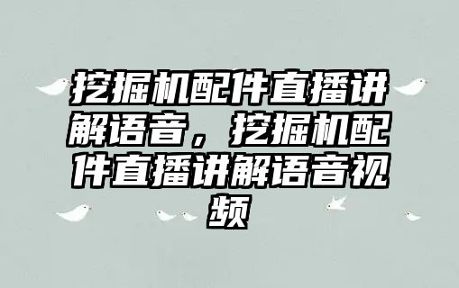 挖掘機(jī)配件直播講解語音，挖掘機(jī)配件直播講解語音視頻