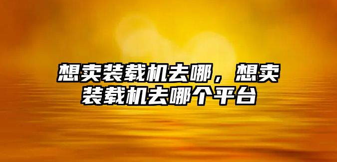 想賣裝載機(jī)去哪，想賣裝載機(jī)去哪個平臺