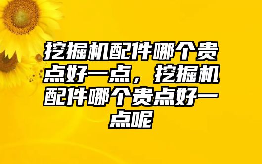 挖掘機(jī)配件哪個(gè)貴點(diǎn)好一點(diǎn)，挖掘機(jī)配件哪個(gè)貴點(diǎn)好一點(diǎn)呢