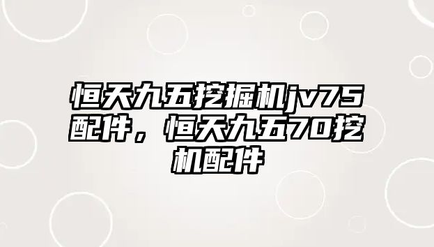 恒天九五挖掘機(jī)jv75配件，恒天九五70挖機(jī)配件