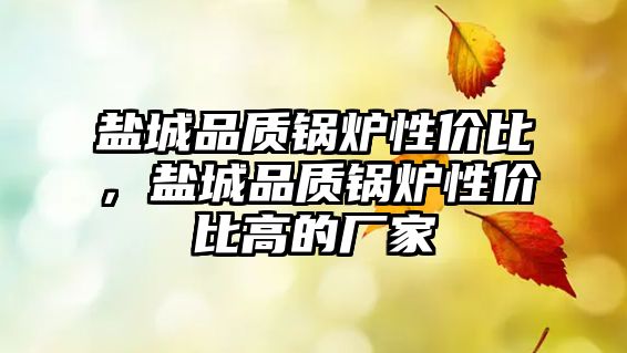 鹽城品質鍋爐性價比，鹽城品質鍋爐性價比高的廠家