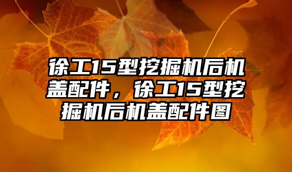 徐工15型挖掘機后機蓋配件，徐工15型挖掘機后機蓋配件圖