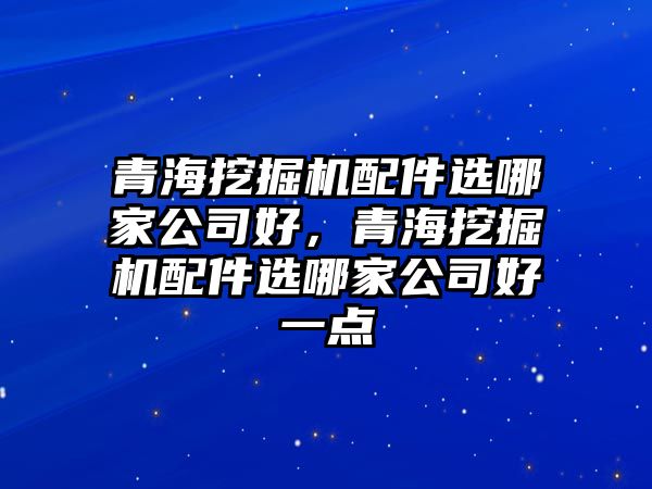 青海挖掘機配件選哪家公司好，青海挖掘機配件選哪家公司好一點