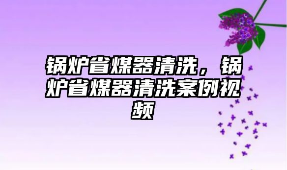 鍋爐省煤器清洗，鍋爐省煤器清洗案例視頻