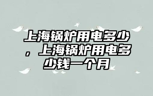 上海鍋爐用電多少，上海鍋爐用電多少錢一個(gè)月