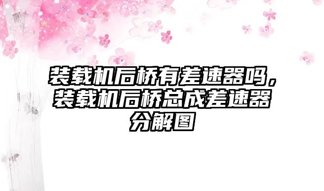 裝載機(jī)后橋有差速器嗎，裝載機(jī)后橋總成差速器分解圖