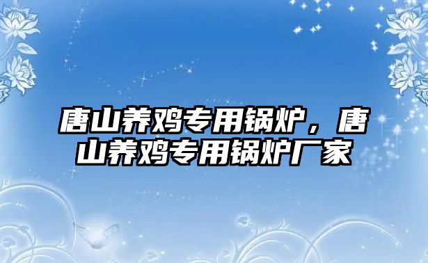 唐山養(yǎng)雞專用鍋爐，唐山養(yǎng)雞專用鍋爐廠家