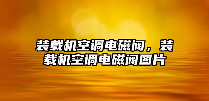 裝載機空調電磁閥，裝載機空調電磁閥圖片