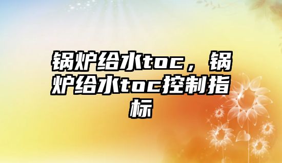 鍋爐給水toc，鍋爐給水toc控制指標(biāo)