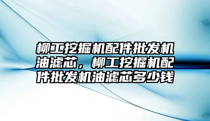 柳工挖掘機配件批發(fā)機油濾芯，柳工挖掘機配件批發(fā)機油濾芯多少錢